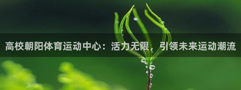 bbin视讯游戏平台：高校朝阳体育运动中心：活力无限，引领未来运动潮流