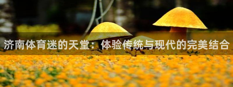 bbin视讯：济南体育迷的天堂：体验传统与现代的完美结合