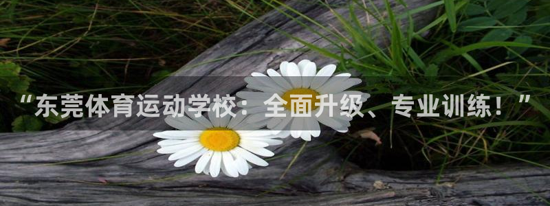 bbin视讯游戏平台：“东莞体育运动学校：全面升级、专业训练！”