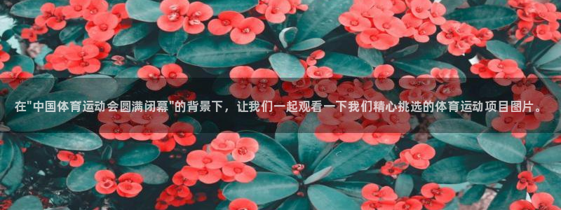 bbin视讯游戏平台：在\