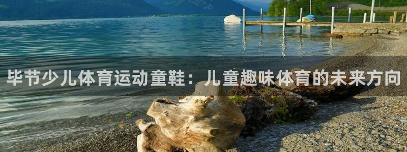 bbin视讯下：毕节少儿体育运动童鞋：儿童趣味体育的未来方向