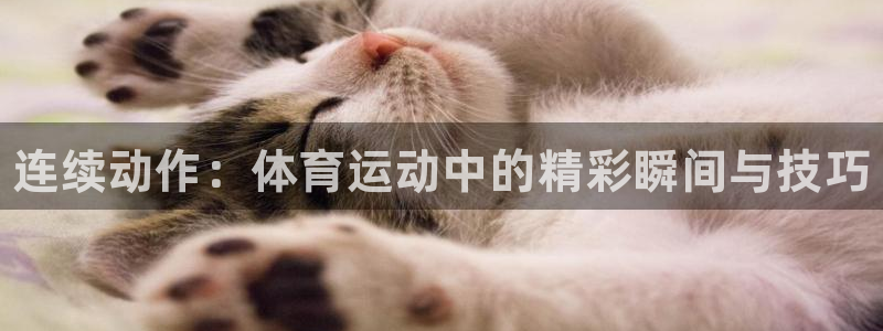 bbin视讯游戏平台：连续动作：体育运动中的精彩瞬间与技巧