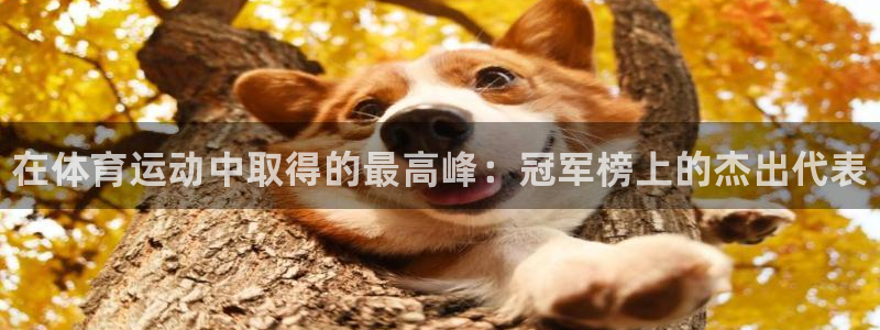 bbin视讯游戏官网：在体育运动中取得的最高峰：冠军榜上的杰出代表