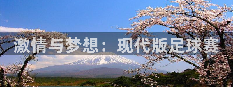 bbin视讯：激情与梦想：现代版足球赛
