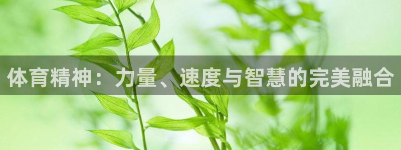 bbin视讯下：体育精神：力量、速度与智慧的完美融合