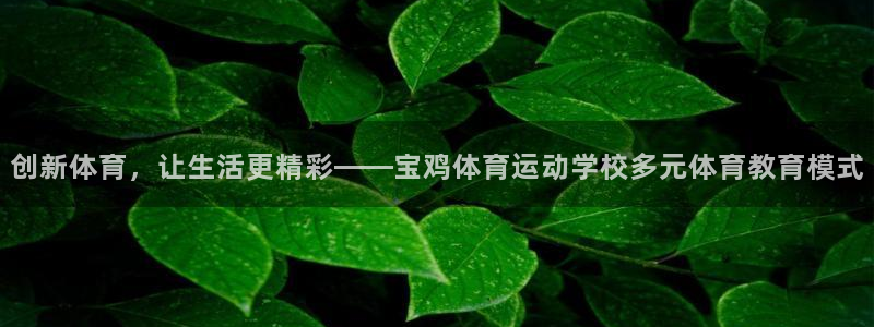 bbin视讯游戏官网：创新体育，让生活更精彩——宝鸡体育运动学校多元体育教育模式
