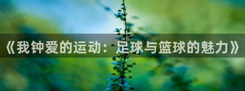 bbin视讯下：《我钟爱的运动：足球与篮球的魅力》