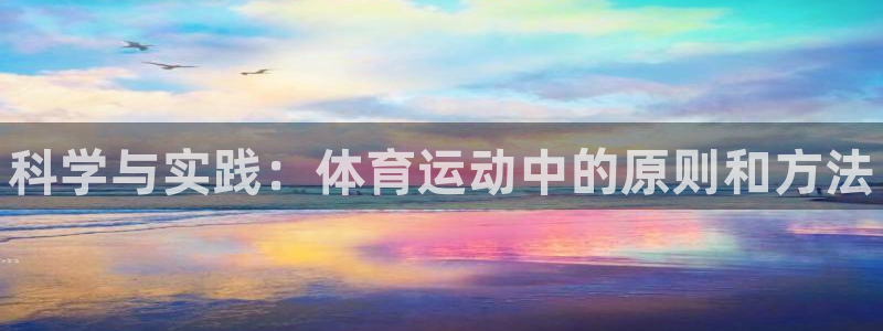 bbin视讯游戏官网：科学与实践：体育运动中的原则和方法