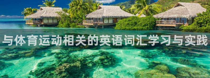 bbin视讯：与体育运动相关的英语词汇学习与实践