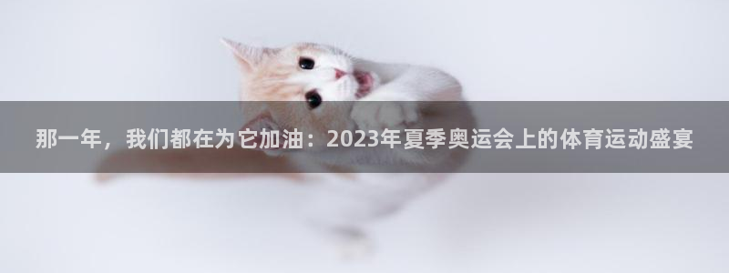 bbin视讯：那一年，我们都在为它加油：2023年夏季奥运会上的体育运动盛宴
