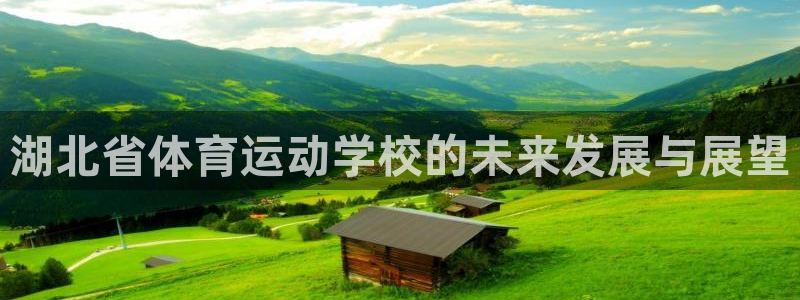 bbin视讯游戏官网：湖北省体育运动学校的未来发展与展望