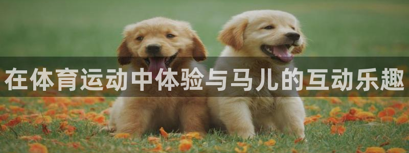 bbin视讯下：在体育运动中体验与马儿的互动乐趣