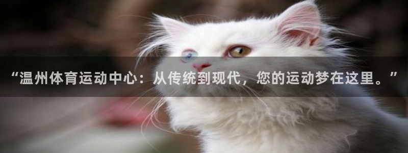 bbin视讯游戏平台：“温州体育运动中心：从传统到现代，您的运动梦在这里。”