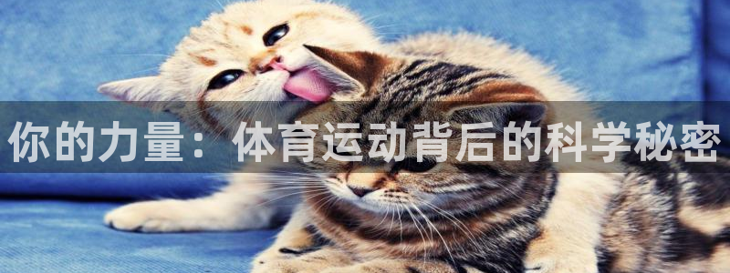 bbin视讯游戏官网：你的力量：体育运动背后的科学秘密