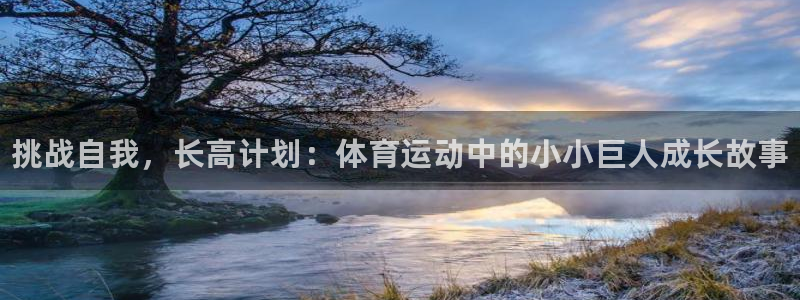 bbin视讯游戏平台：挑战自我，长高计划：体育运动中的小小巨人成长故事