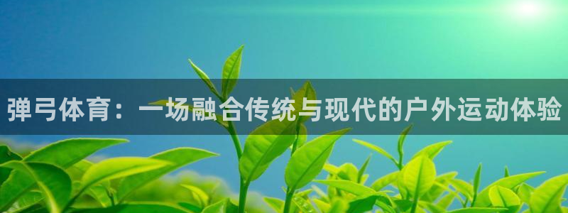 bbin视讯游戏平台：弹弓体育：一场融合传统与现代的户外运动体验