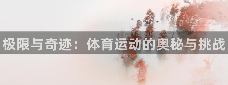 bbin视讯游戏平台：极限与奇迹：体育运动的奥秘与挑战