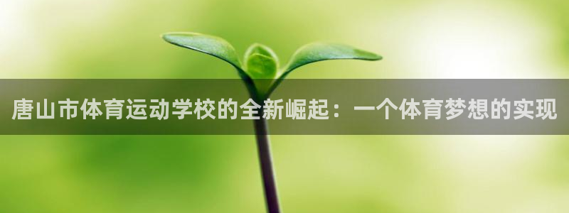 bbin视讯游戏平台：唐山市体育运动学校的全新崛起：一个体育梦想的实现