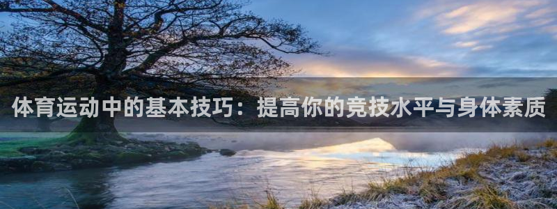 bbin视讯游戏平台：体育运动中的基本技巧：提高你的竞技水平与身体素质