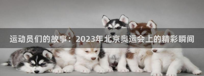 bbin视讯游戏平台：运动员们的故事：2023年北京奥运会上的精彩瞬间