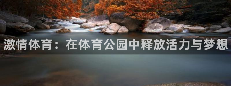 bbin视讯游戏官网：激情体育：在体育公园中释放活力与梦想