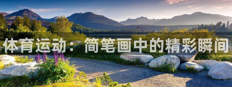 bbin视讯下：体育运动：简笔画中的精彩瞬间